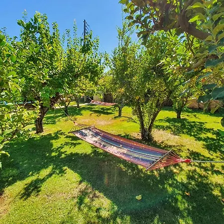 Pet Friendly In With Sauna Holiday home *